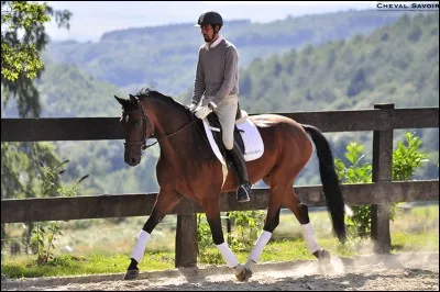 Quelles sont les aides naturelles ?