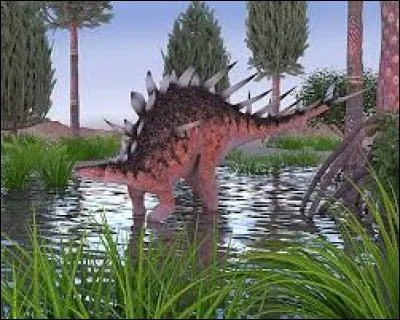 Quel(s) dinosaure(s) avai(en)t des plaques sur le dos ?