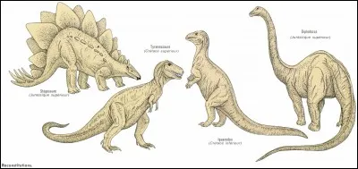 En dehors de son rôle de défense, à quoi servait la corne des dinosaures mâles ?