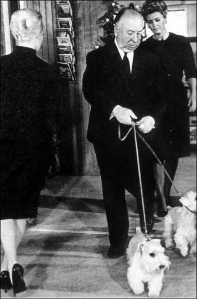 On voit bien videmment Alfred Hitchcock dans ces trois films, duquel est tir cette photo ?