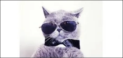 Complétez cette expression : "Se mettre sur son...