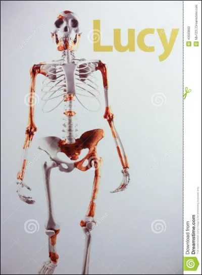 En quelle année le squelette de Lucy fut-il trouvé ?