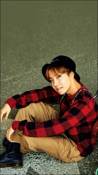 Trouves-tu J-Hope beau ?
