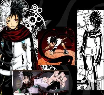 Ce personnage vient de quel manga ?