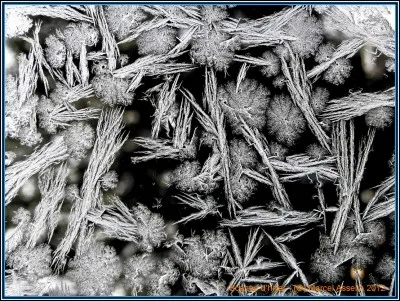 Quel est ton symbole préféré ?