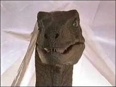 Quel taille fait un vélociraptor ?