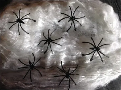 Puis, elle rentre chez elle pour décorer sa maison avec des toiles d'araignées. En anglais, "araignée" se dit :