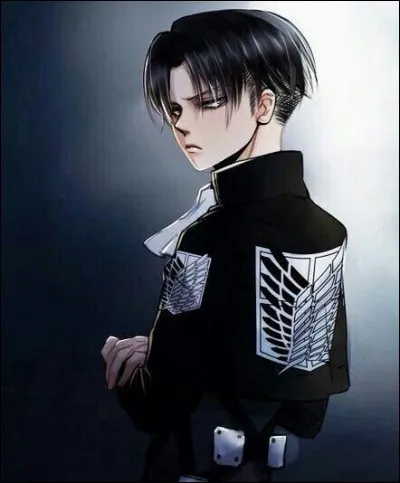 Levi a :