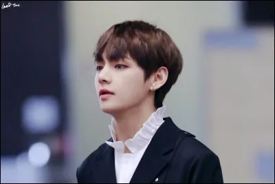 Qui a déclaré avoir pour idole, V des BTS ?