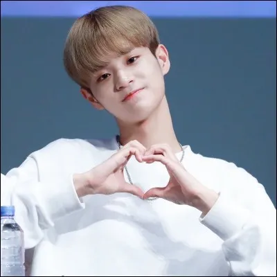 Qui est le meilleur ami de Lee Daewhi au sein des Wanna One ?