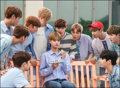 Qui a la phobie des insectes ?