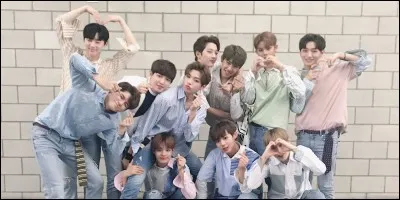 Quels sont les membres de Wanna One qui étaient déjà dans un groupe avant "Produce 101" ?
