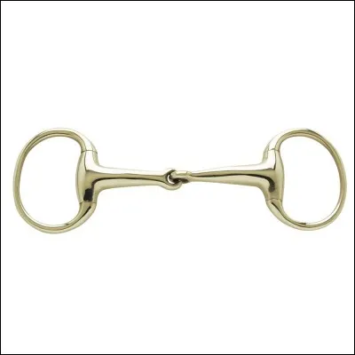 Comment s'appelle l'outil que nous mettons dans la bouche des chevaux quand nous les montons ?