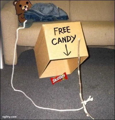 Nous nous sommes aventurés dans son territoire et avons observé ses techniques de chasse. Voici une image sur laquelle on peut voir qu'il utilise :