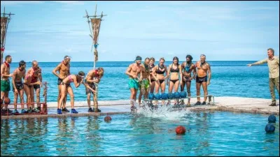 Au final, quelle équipe gagne le plus d'épreuves, conforts et immunités confondus ?