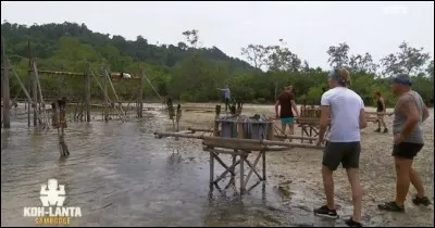 Quelle équipe perd le plus d'épreuves, et par conséquent va le plus de fois au conseil ?