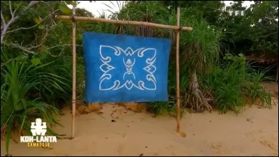 Comment se nomme l'équipe des bleus ?