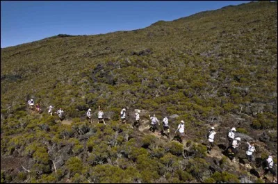 Deux autres courses sont proposées à l'ensemble des raideurs le même jour. Quel est l'intrus ?