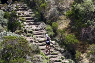 En moyenne, en combien de temps les meilleurs coureurs bouclent-ils la course ?