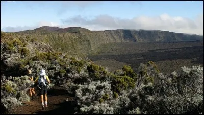 Qui remporte l'édition 2017 et qui est la première féminine ?