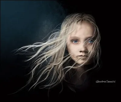 La maman de Cosette mourut suite à une maladie, elle demanda à Jean Valjean, sur son lit de mort, de retrouver et libérer Cosette. Il honora sa promesse, où la rencontra-t-il ?