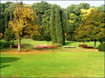 Un trou noir est un corps céleste présentant une masse et une densité tellement élevées que rien ne peut échapper à sa force gravitationnelle et qu'il absorbe tout, y compris la lumière, d'où son nom. Comment un trou noir se forme-t-il ?