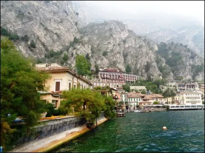 Durant quel siècle la peste noire a-t-elle ravagé l'Europe et décimé la population de quasiment tous les États qui la composaient ?