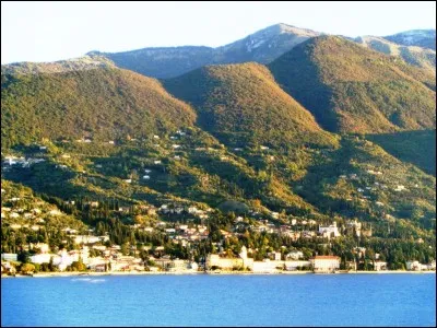 Quelle équipe nationale de rugby doit son surnom au maillot entièrement noir que ses joueurs arborent fièrement ?