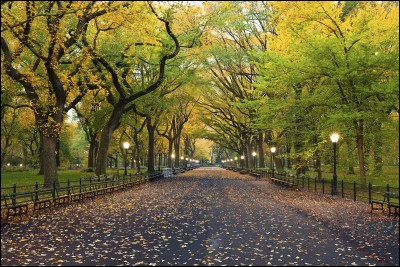 Comment s'appelle ce grand parc à New York ?