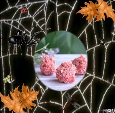 Petite friandise d'Avignon à découvrir absolument !