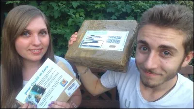 Quel est le pseudo YouTube de la copine de Sora ?