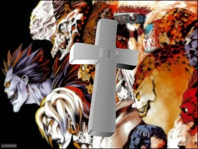 Personne ne peut nous tuer. Nous sommes invincibles ! Mais du coup on s'ennuie et on envoie nos cahiers de la mort dans le monde des humains pour rigoler un peu. On peut néanmoins s'attacher à nos humains. Et en fait on a menti, on peut mourir ! Mais comment ?