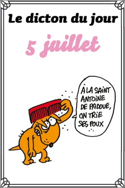 Comme le dit le dicton, "qui vole un �uf, vole un..." !