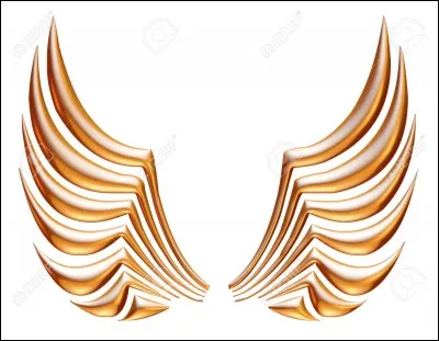 Les ailes de l'abeille sont fixées....