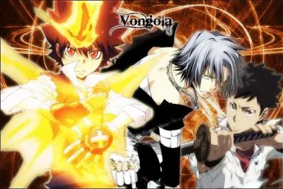 De quel manga viennent-ils?