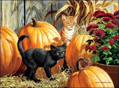 Laquelle de ces variétés n'est pas une courge ?