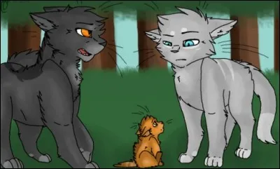 Pourquoi a-t-il besoin de parents adoptifs ?