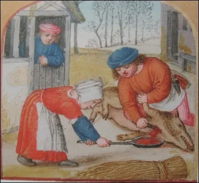 Dans la fabrication de quel produit peut-on trouver de l'hémoglobine du sang de porc ?