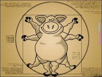 Quelle industrie non alimentaire s'est développée grâce à un produit dérivé du porc servant à un élément essentiel ?