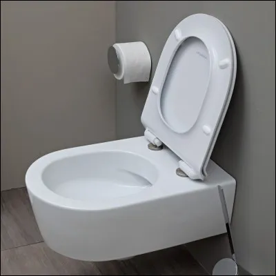 Pourquoi boit-il l'eau des toilettes ?