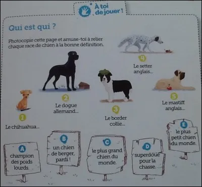 Qui est qui ?
La bonne réponse est...