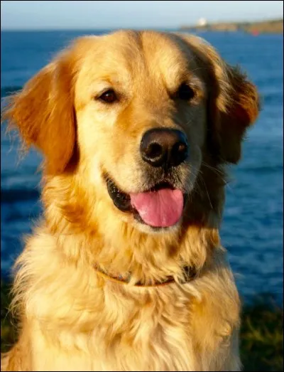 Quels sont ses jeux préférés ?