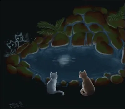 Le gu&eacute;risseur te dit que ton fils, Petit Renard, mourra avant ses six lunes.