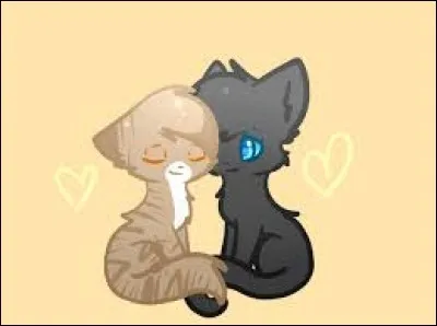 Tu d&eacute;couvres que ton meilleur ami est amoureux d'une chatte d'un autre clan. Que lui dis-tu ?