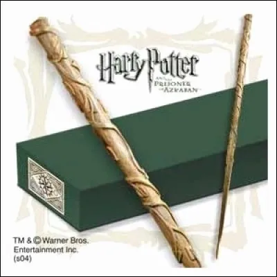 En quelle matière sa baguette est-elle fabriquée ?