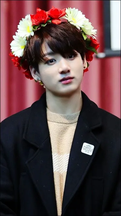Quelle est la couleur préférée de Jungkook ?