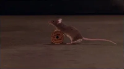 Un film dont l'un des personnages est doté de pouvoirs de guérison.