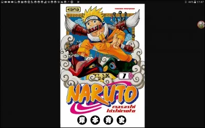 Combien y a-t-il de tomes de "Naruto" ? 
(La série de "Naruto" est terminée, il n'y aura donc plus de tomes)