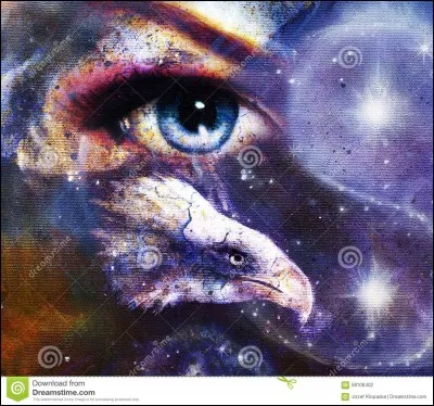 Qui a donc suivi le doigt et l'il.