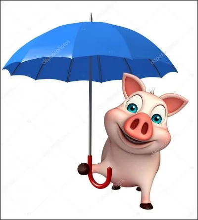 Si oui, qu'est-ce que cela fait au cochon ?